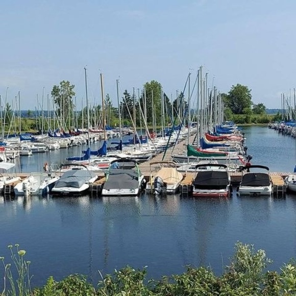 Meet your Posher, Lewis - Picture 1 of 1